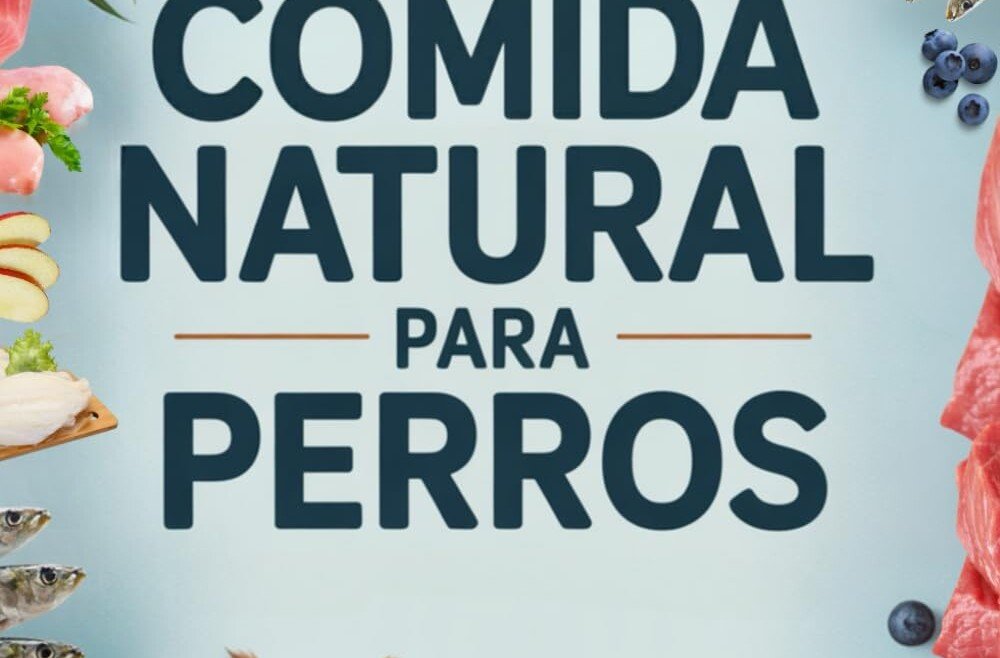 Comida natural para perros